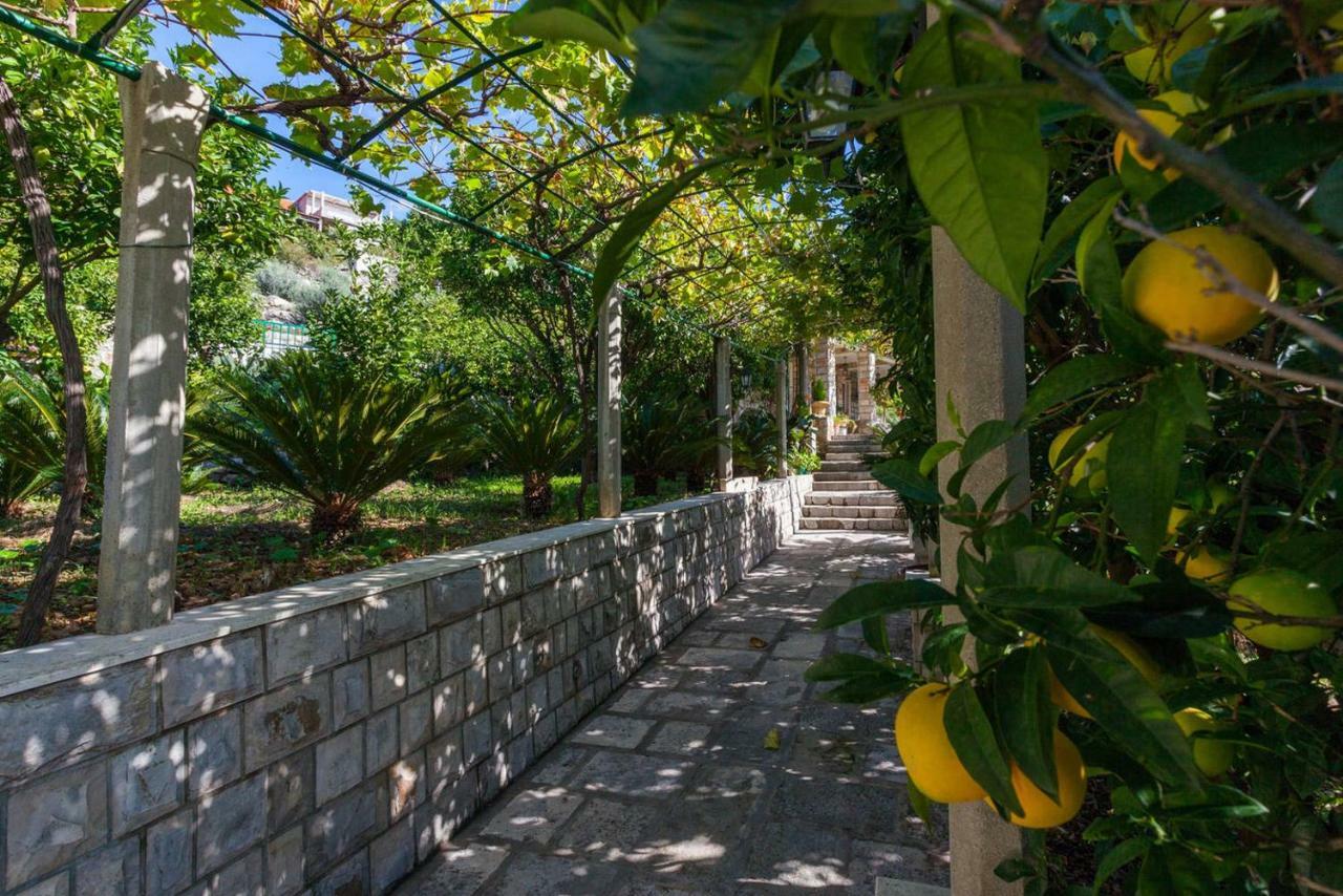 Apartment Beti Lopud Екстериор снимка